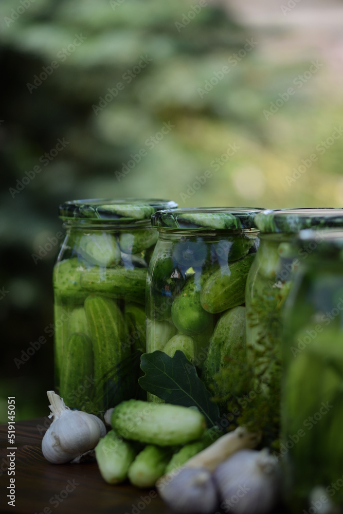 Jars of pickled cucumbers, fermented cucumbers, pickles, dill, garlic, horseradish and herbs. Jars of pickled cucumbers, fermented cucumbers, pickles, dill, garlic, horseradish and herbs.