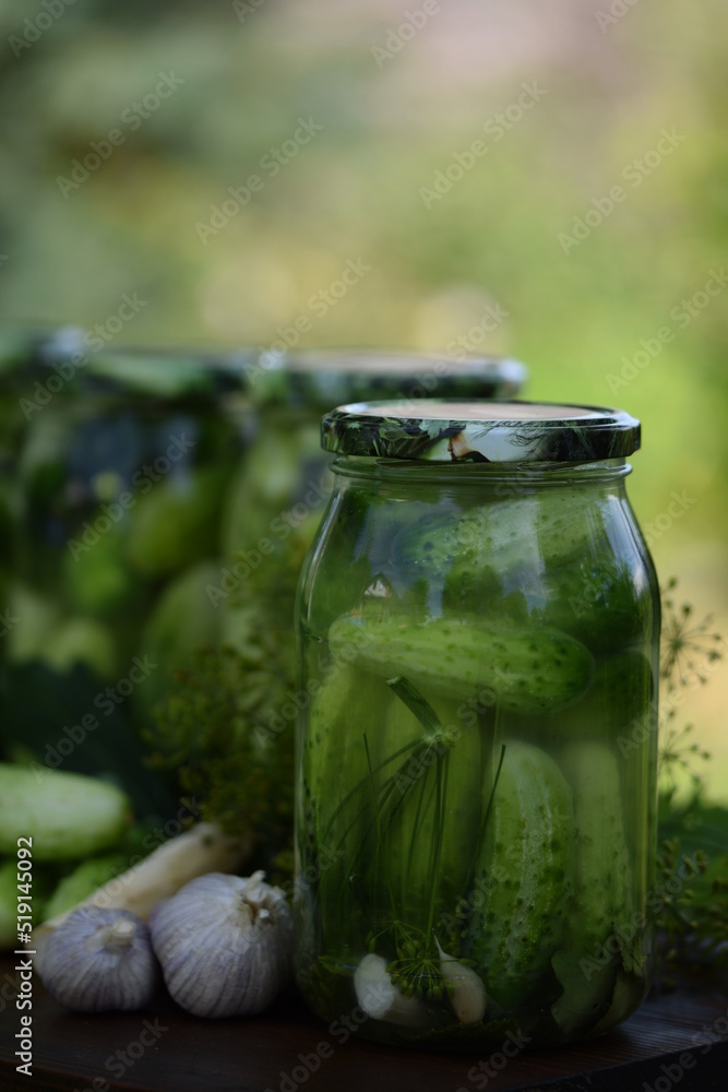 Jars of pickled cucumbers, fermented cucumbers, pickles, dill, garlic, horseradish and herbs. Jars of pickled cucumbers, fermented cucumbers, pickles, dill, garlic, horseradish and herbs.