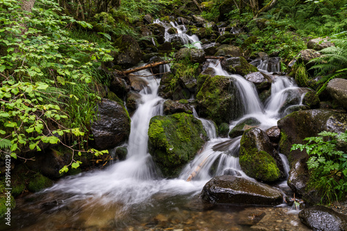 small waterfall in the forest, beech-fir forest of Suberlenc, lys valley, Pyrenean mountain range, France