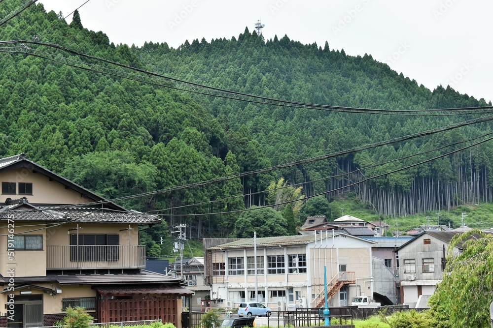日本の田舎、原風景、夏、美山、かやぶき、美山かやぶきの里、水田、稲作、小屋
