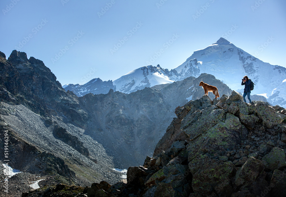 girl photographs dogs in the mountains. pet photographer in nature