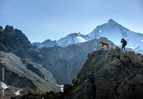 Photography girl photographs dogs in the mountains