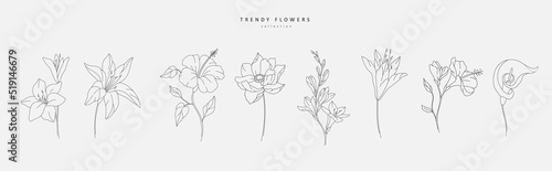 Set of luxury flowers and logo. Trendy botanical elements. Hand drawn line leaves branches and blooming. Wedding elegant wildflowers for invitation save the date card. Vector