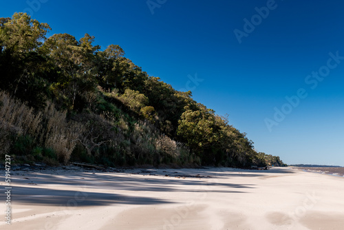 Trees and vegetation on the ravines near the beach in Kiyu, San Jose, Uruguay photo