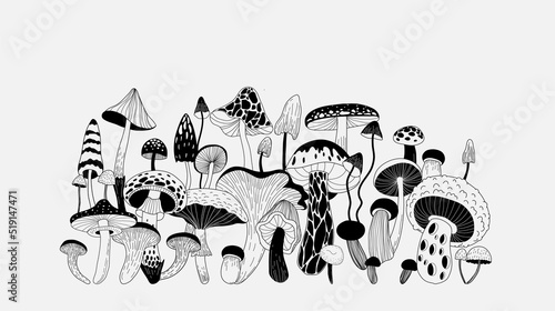 Set of various mystical mushrooms. Hippie magic boho wall art background. Psychedelic vector illustration. Magic and boho texture. Hand drawn style