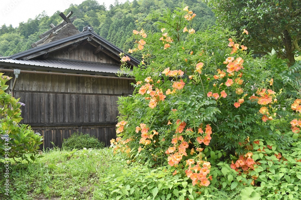 日本の田舎、原風景、夏、美山、かやぶき、美山かやぶきの里、石垣、古民家、しっくい、日本家屋、歴史的建造物、木造建築