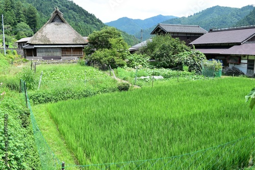 日本の田舎、原風景、夏、美山、かやぶき、美山かやぶきの里、石垣、古民家、しっくい、日本家屋、歴史的建造物、木造建築