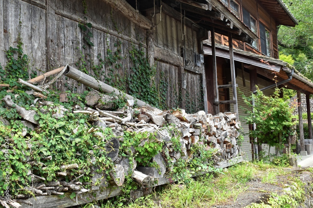 Obraz premium 日本の田舎、原風景、夏、美山、かやぶき、美山かやぶきの里、田んぼ、稲、水田、木材加工、家屋、古民家、屋敷、倉庫