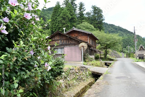 日本の田舎、原風景、夏、美山、かやぶき、美山かやぶきの里、田んぼ、稲、水田、木材加工、家屋、古民家、屋敷、倉庫