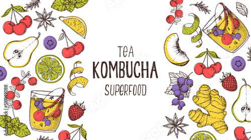 Kombucha tea and ingredients for kombucha sketch. Hand drawn vector illustration. Kombucha drink. Tea mushroom, tea fungus, or Manchurian mushroom.