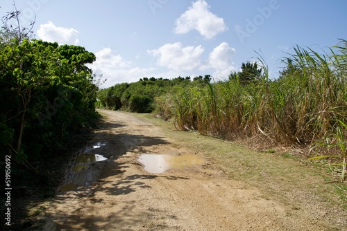 Puddled dirt road leading to Shimoji island Monolith