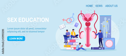 People are studying sex education. Human biology and anatomy lesson. Sexual health lesson for young people. Contraception and male reproductive system. Body internal organ. Sexuality and gender