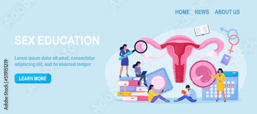 People are studying sex education. Human biology and anatomy lesson. Sexual health lesson for young people. Contraception and female reproductive system. Body internal organ. Sexuality and gender