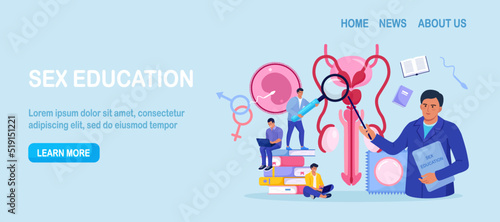 People are studying sex education. Human biology and anatomy lesson. Sexual health lesson for young people. Contraception and male reproductive system. Body internal organ. Sexuality and gender