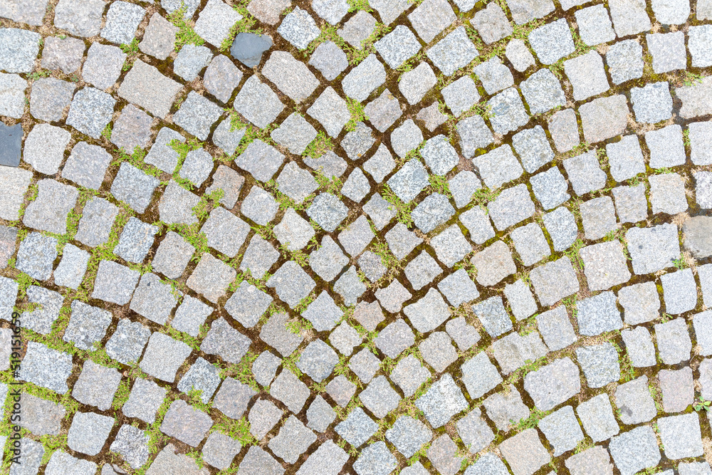 Granite cobblestoned pavement background with weeds. Stone pavement texture. Abstract background of cobblestone pavement.