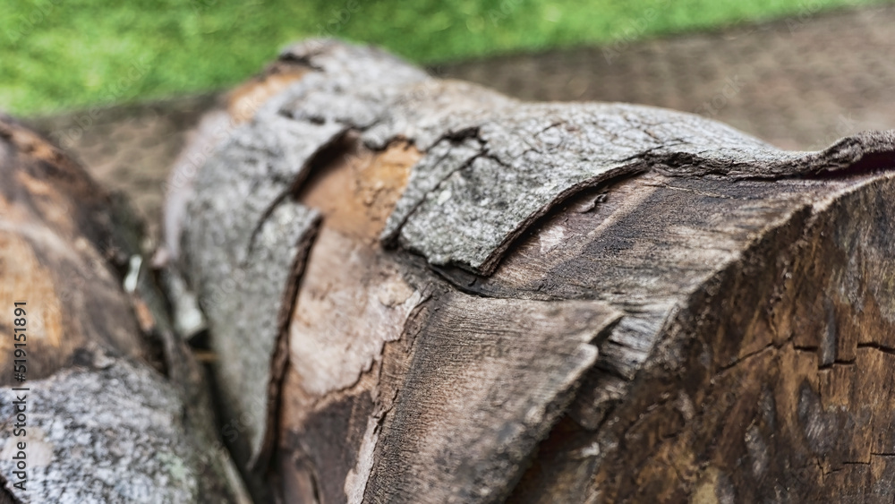 Log trunks pile, the logging timber forest wood industry. Wide banner or panorama of wood trunks timber harvesting in forest. Log trunks pile, the logging timber forest wood industry. Wide banner or panorama of wood trunks timber harvesting in forest.