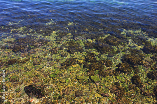 Canakkale. Clean sea water with rocks and sea plants
