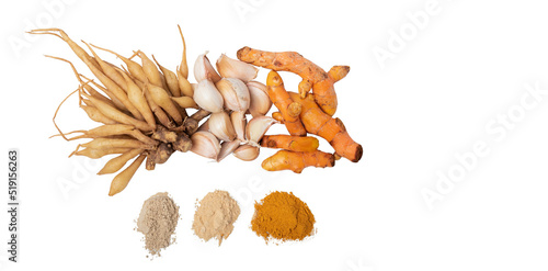 Garlic, Kaempferia, Turmeric and Herbal Powder, On white isolated background, to Herbal Health Supplements photo