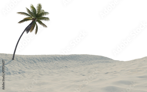 Coconut on the sand with a white background