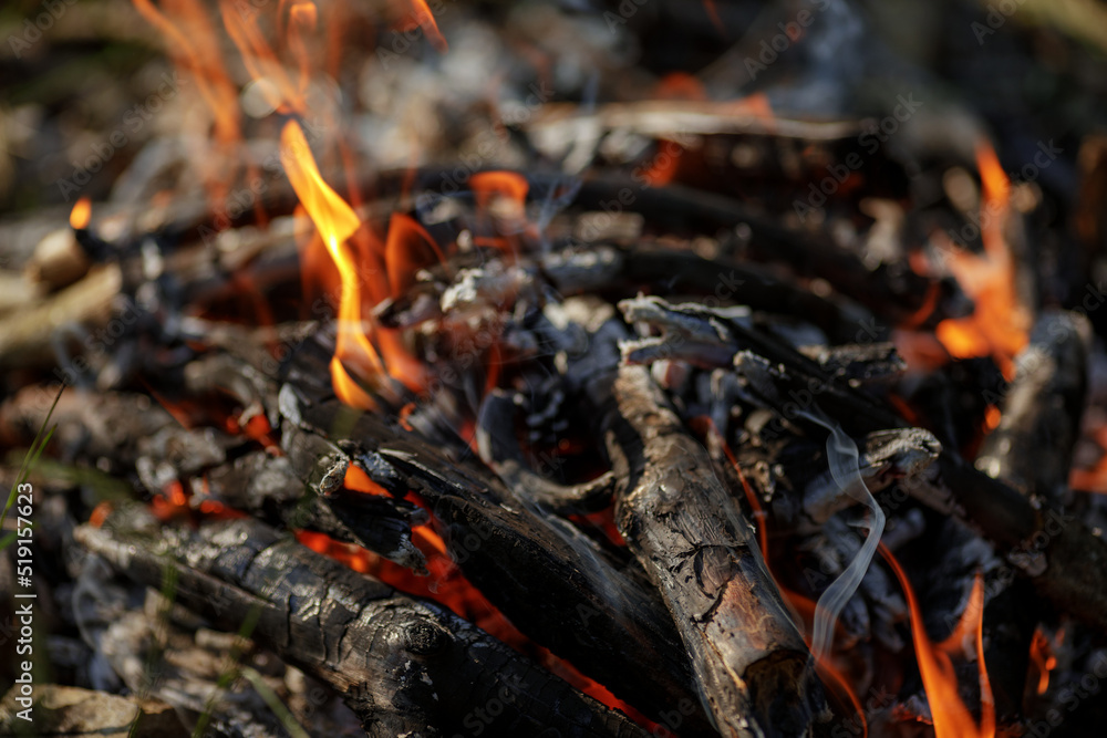 Close up of burning timber bonfire in summer forest..The concept of adventure, travel, tourism, camping, survival and evacuation.