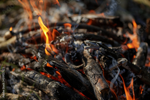 Close up of burning timber bonfire in summer forest..The concept of adventure, travel, tourism, camping, survival and evacuation.