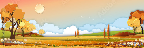 Autumn rural landscape in evening light with sunset, yellow, orange sky background,Vector pano Cartoon fall season at countryside with forest tree and grass field with sunrise,Backdrop natural banner