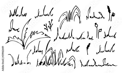 Fototapeta Naklejka Na Ścianę i Meble -  Doodle Grass set. Sketch of bush in simple line art style. Hand drawn vector illustration of herbs. Scribble painted by ink