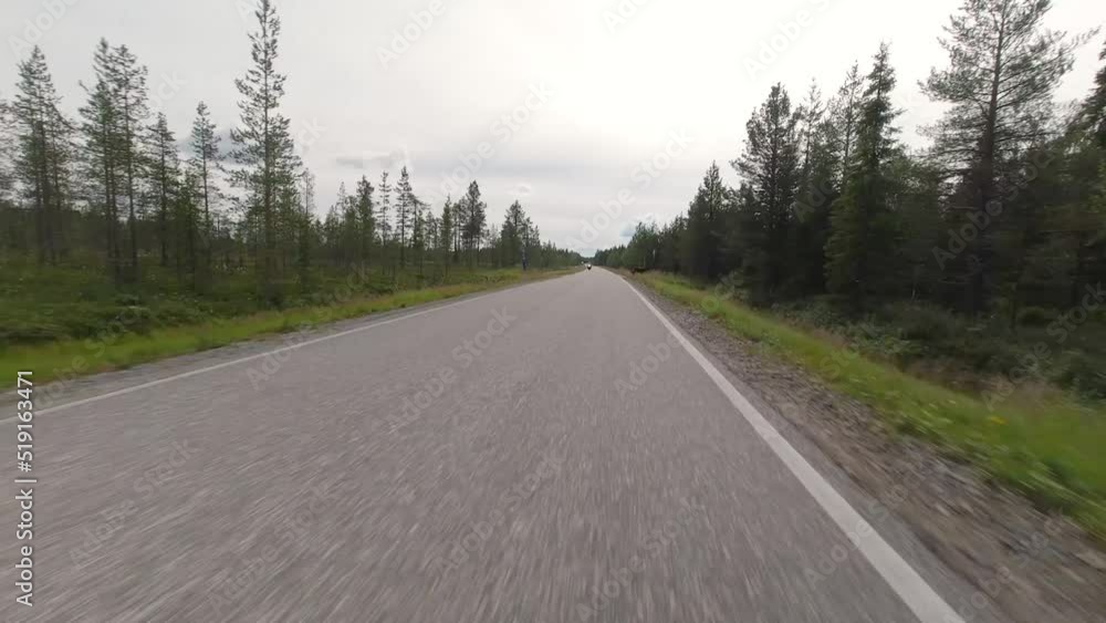 Timelapse driving on narrow road in lapland with reindeer crossing road Timelapse driving on narrow road in lapland with reindeer crossing road