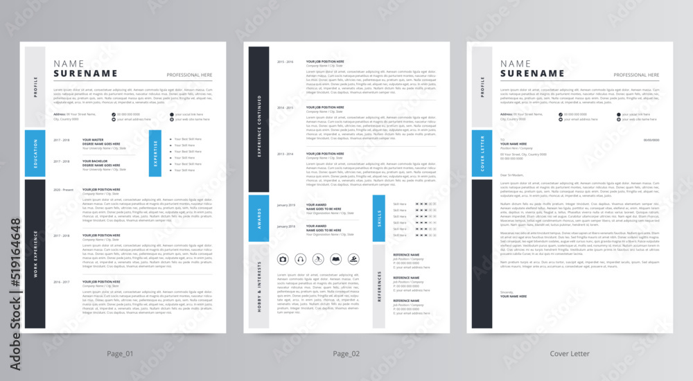 Professional Resume or CV and Cover Letter Template Professional Resume or CV and Cover Letter Template
