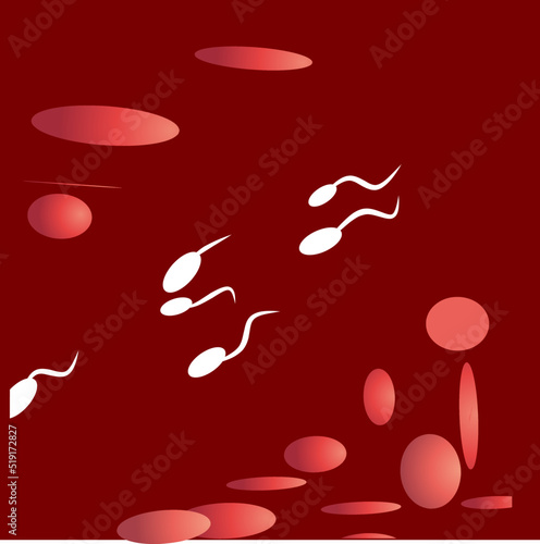 sperm cell vector illustration