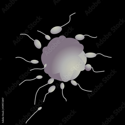 sperm cell vector illustration
