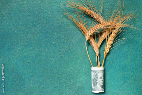 Ripe ears in rolled-up dollar banknotes