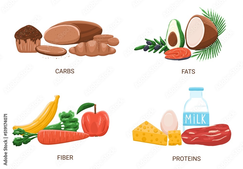 Carbs, proteins, fat and fiber food group in cartoon style