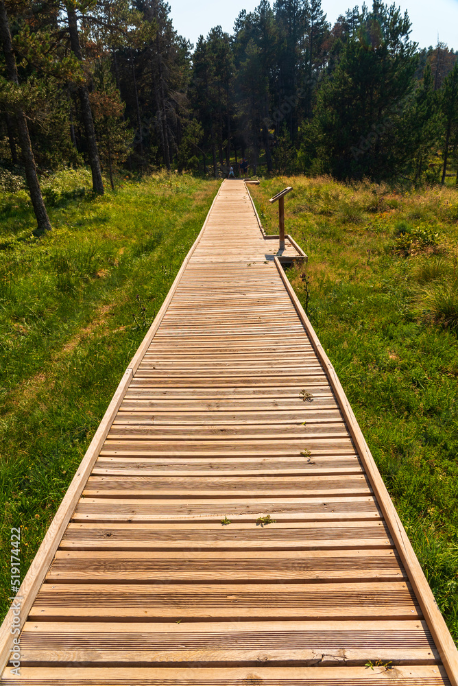 boardwalk in France in summer boardwalk in France in summer