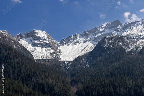 Wallpaper Mural Eternal snows on the peaks of the Dolomites covered with dense centuries-old forest just down the slope Torontodigital.ca