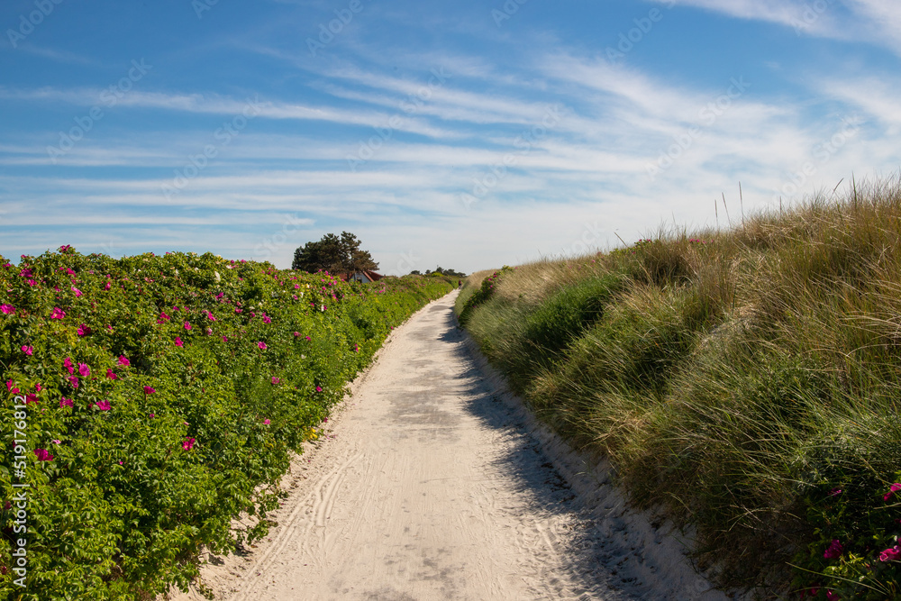 impressions and motifs from german island hiddensee