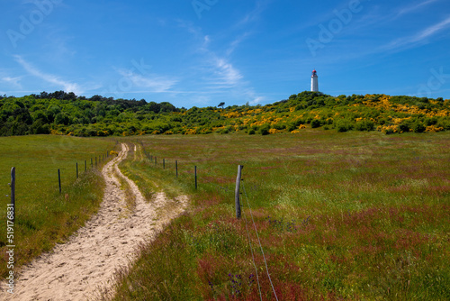 impressions and motifs from german island hiddensee