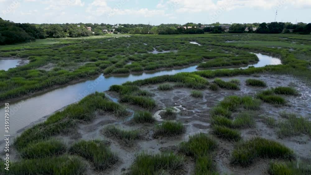 A slow rise and pan down over a swampy marsh on a sunny, summer day in South Carolina. A slow rise and pan down over a swampy marsh on a sunny, summer day in South Carolina.