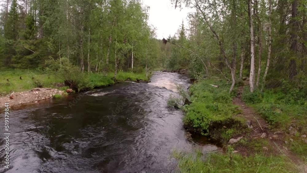 Static shot small flowing river in lapland in the middle of forest Static shot small flowing river in lapland in the middle of forest