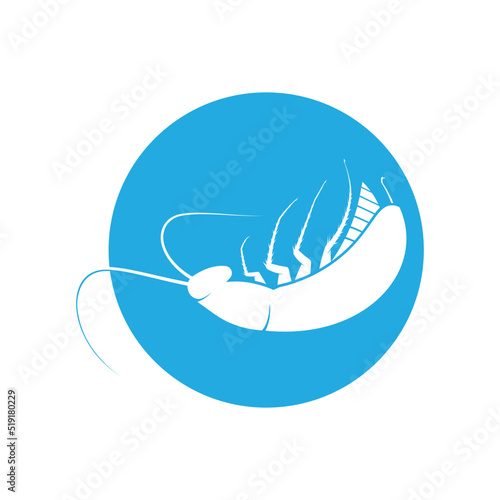 Cockroach logo vector template
