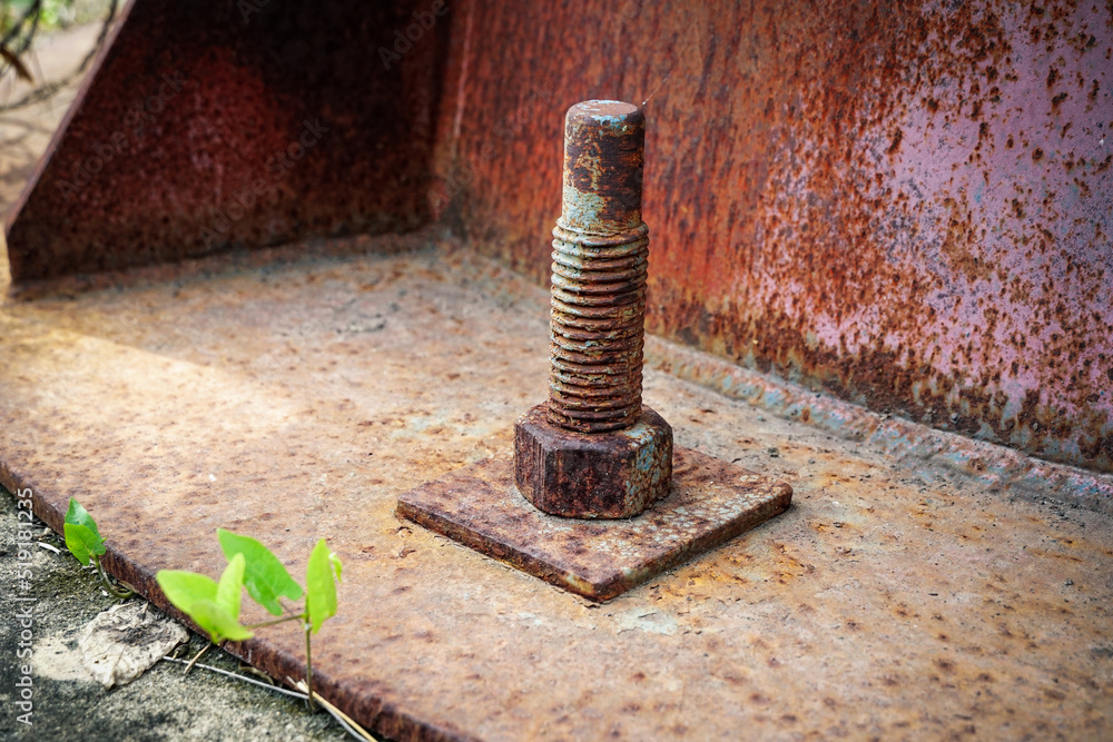 The rusty iron bolts to concrete footing. The rusty iron bolts to concrete footing.