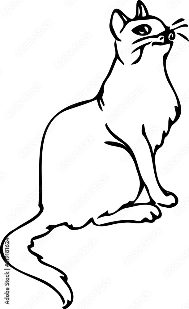 Cat doodles in abstract hand drawn style, black and white line art vector illustration.Doodle style cat.Day of the cat. Cat doodles in abstract hand drawn style, black and white line art vector illustration.Doodle style cat.Day of the cat.