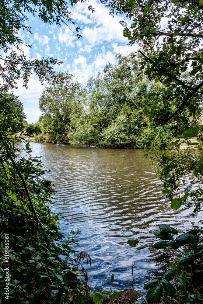 Meadowbank Park Lake Dorking Lanscape With Water Reflection Of Trees