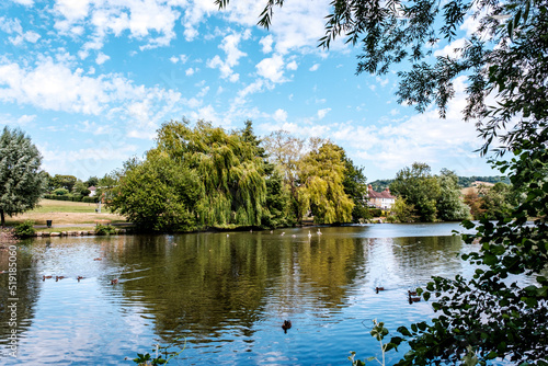 Meadowbank Park Lake Dorking Lanscape With Water Reflection Of Trees