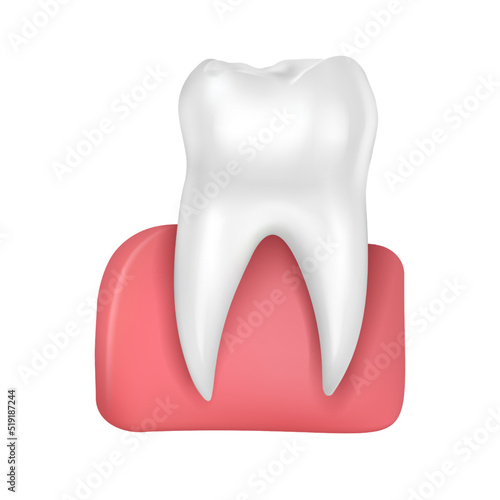 Vector healthy shiny tooth in pink gums isolated on white background medical illustration