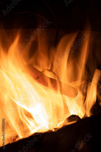 roasting hot dog in camp fire