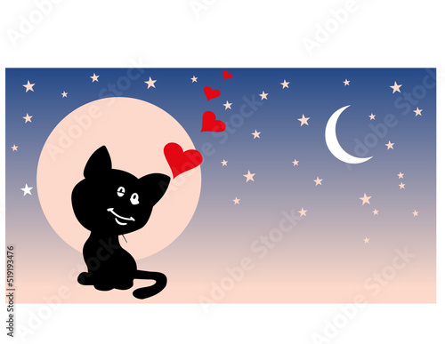 CHATON AU CLAIR DE LUNE