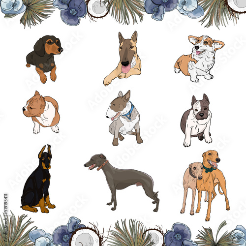 Large set of dog breeds in tropical flowers and leaves. Isolated elements, dachshund, greyhound, greyhound, bull terrier blank for designers, logo, icon