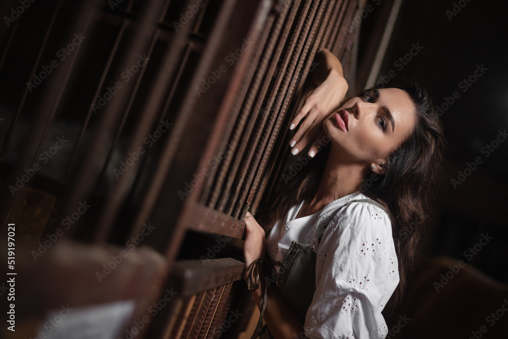 Young beautiful girl in the white dress posing in the horse stable. Young beautiful girl in the white dress posing in the horse stable.