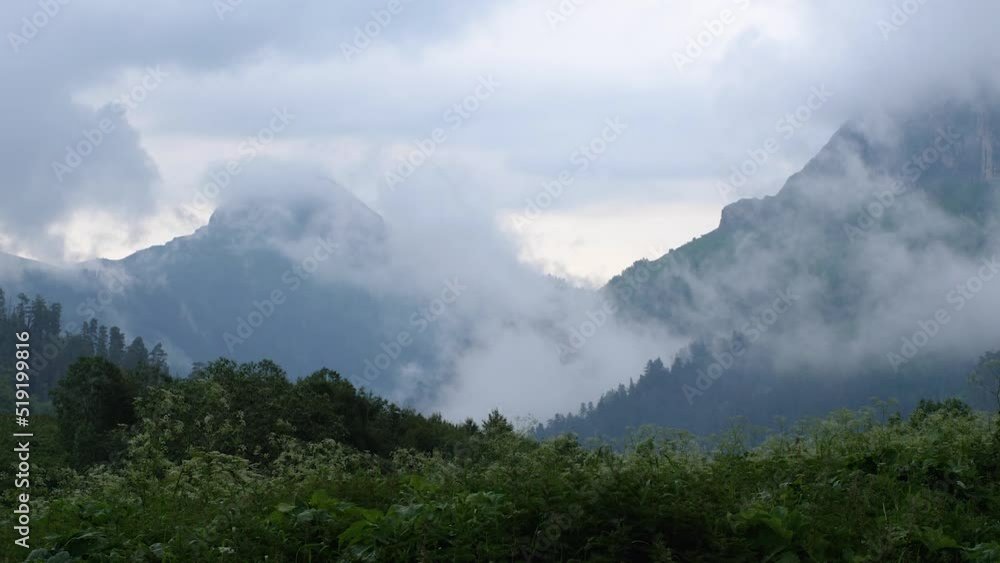 Mountain peaks and forest in fog and clouds. Bad weather in the mountains. In the foreground, the wind rustles the tall grass. Smooth movement of the camera backwards. Foggy day in the mountains Mountain peaks and forest in fog and clouds. Bad weather in the mountains. In the foreground, the wind rustles the tall grass. Smooth movement of the camera backwards. Foggy day in the mountains